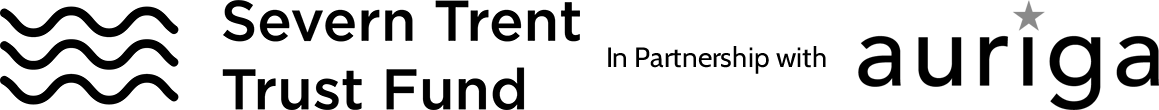 Auriga Logo